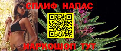гашик Ирбит