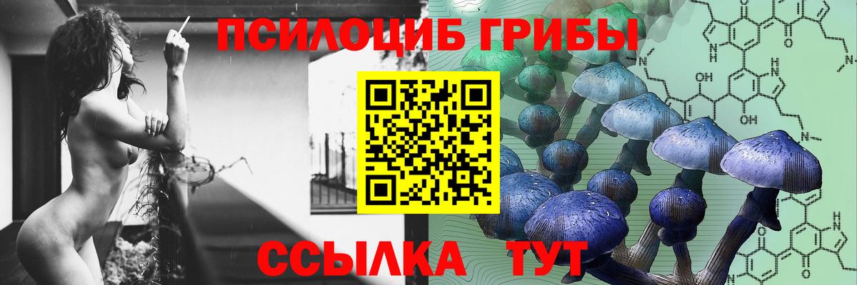 Котельники  Галлюциногенные грибы мицелий  Вход с VPN 